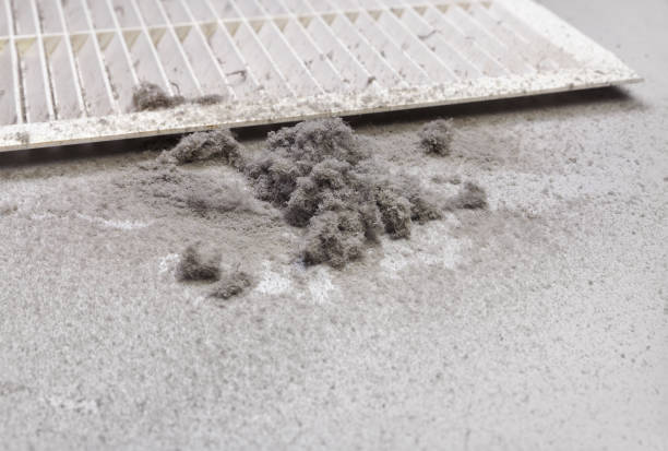 Best HVAC Air Duct Cleaning  in Woodbine, GA