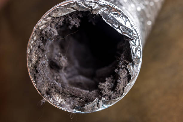 Best Air Vent Cleaning Services  in Woodbine, GA